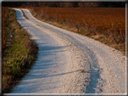 foto Colline Marosticane in Autunno